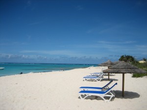 Caribbean Holidays - Prickly Pear